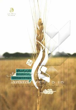 نان در اسلام: بررسی استراتژی اسلام در چرخه نان از تولید تا مصرف