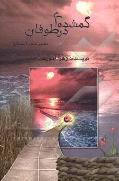 گمشده‌ای در طوفان