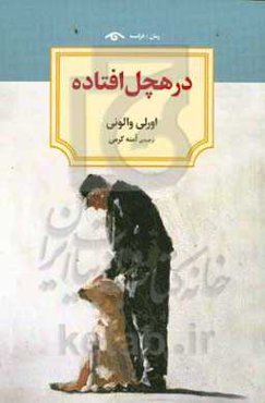 در هچل افتاده