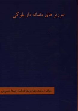 سرریزهای دندانه‌دار بلوکی