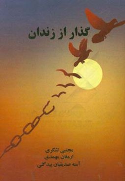 گذر از زندان (تجربه جهانی سمن‌ها در بازپروری زندانیان)