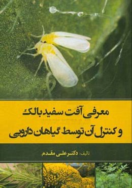 معرفی آفت سفید بالک و کنترل آن توسط گیاهان دارویی