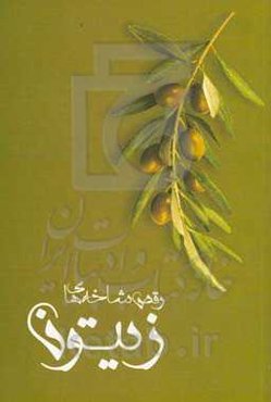 مجموعه داستان‌های رقص شاخه‌های زیتون