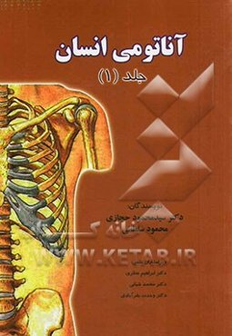 آناتومی انسان