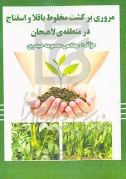 مروری بر کشت مخلوط باقلا و اسفناج در منطقه‌ی لاهیجان