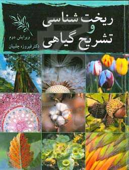 ریخت‌شناسی و تشریح گیاهی