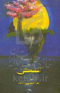 آشفتگی