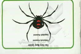 The very busy spider