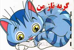 گربه ناز من