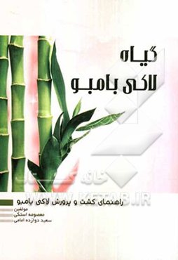 راهنمای کشت و پرورش لاکی بامبو