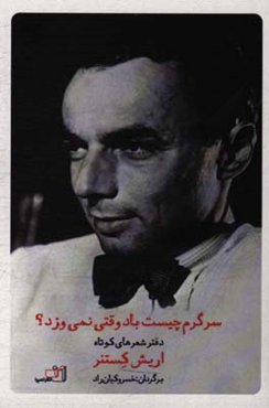 سرگرم چیست باد وقتی نمی‌وزد؟: دفتر شعرهای کوتاه