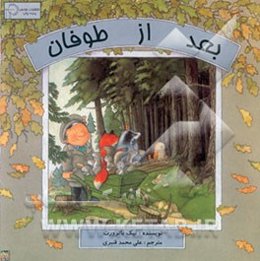 بعد از طوفان