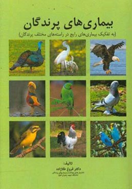 بیماری‌های پرندگان: به تفکیک بیماریهای رایج در راسته‌های مختلف پرندگان