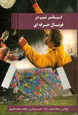 اسپانسرشیپ در فوتبال حرفه‌ای