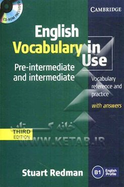 English vocabulary in use: pre-intermediate and intermediate