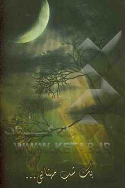 یک شب مهتابی