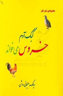 کبک آدم خروس می‌خواند