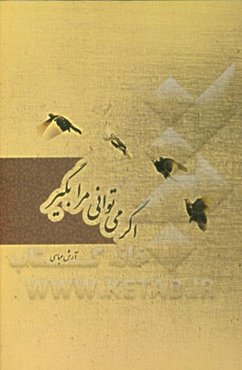 اگر می‌توانی مرا بگیر