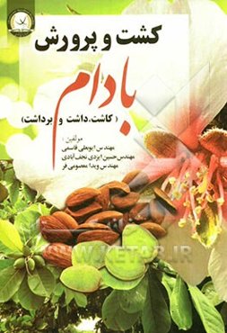 کشت و پرورش بادام: کاشت، داشت و برداشت