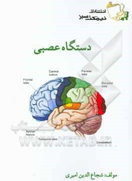 دستگاه عصبی