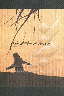 گرمی نور در سایه‌های کبود (رمان)