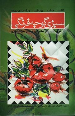 کاشت، داشت، برداشت و نگه‌داری بهینه سبزی و گوجه فرنگی