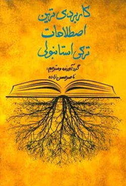 کاربردی‌ترین اصطلاحات ترکی استانبولی (همراه با ترجمه فارسی)