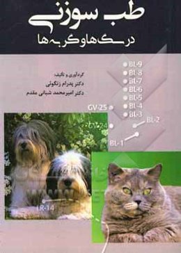 طب سوزنی در سگ‌ها و گربه‌ها