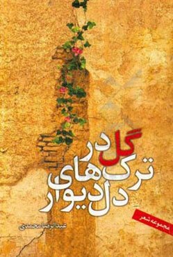 گل در ترک‌های دل دیوار