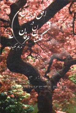 افق درخشان در کهکشان عرفان