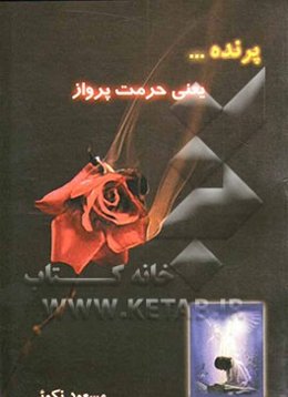 پرنده ... یعنی حرمت پرواز