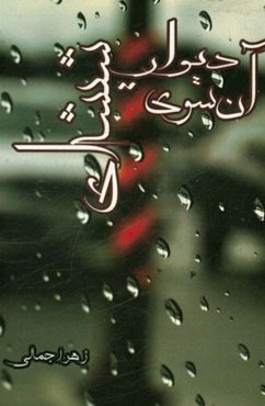 آن‌سوی دیوار شیشه‌ای