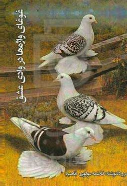 غوغای واژه‌ها در وادی عشق