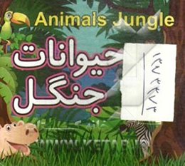 حیوانات جنگل