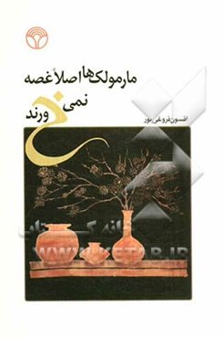 مارمولک‌ها اصلا غصه نمی‌خورند