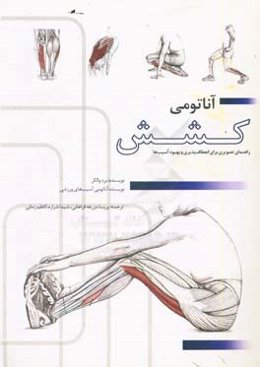 آناتومی کشش: انعطاف‌پذیری و توانبخشی آسیب