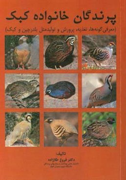 پرندگان خانواده کبک (معرفی گونه‌ها، تغذیه، پرورش و تولید مثل بلدرچین و کبک)