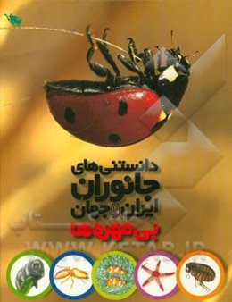 بی‌مهره‌ها