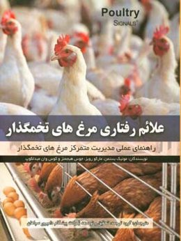 علائم رفتاری مرغ‌های تخمگذار: راهنمای عملی مدیریت متمرکز مرغ‌های تخمگذار