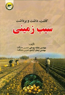 سیب‌زمینی: کاشت، داشت و برداشت