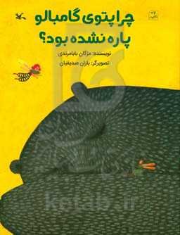 چرا پتوی گامبالو پاره نشده بود؟