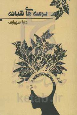 پرسه‌های شبانه