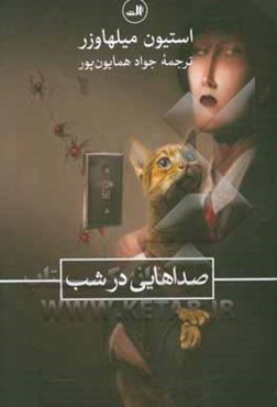 صداهایی در شب