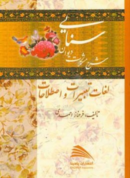 شرح مشکلات دیوان سنایی: (لغات، تعبیرات و اصطلاحات)