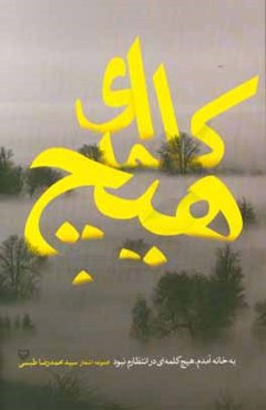 به خانه آمدم هیچ کلمه‌ای در انتظارم نبود