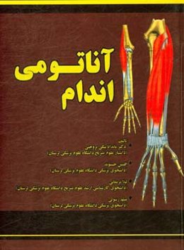 آناتومی اندام