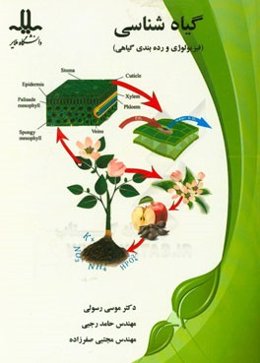 گیاه‌شناسی (فیزیولوژی و رده‌بندی گیاهی)