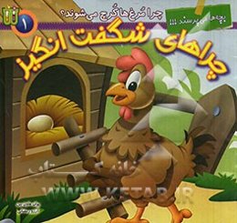 چرا مرغ‌ها کرچ می‌شوند؟