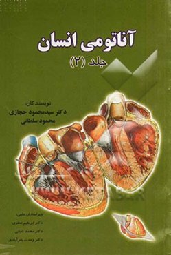 آناتومی انسان