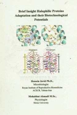 Brief insight halophilic proteins adaptation and their biotechnological potentials